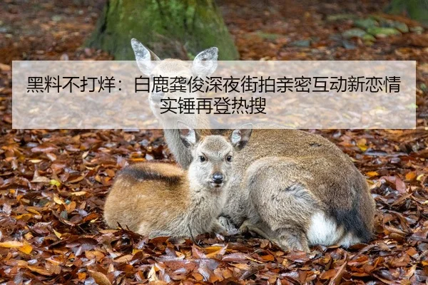 黑料不打烊：白鹿龚俊深夜街拍亲密互动新恋情实锤再登热搜